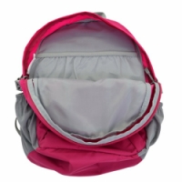 batoh ALPINE PRO OKEDO 20L modrý