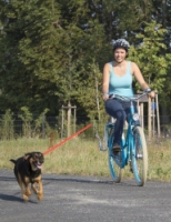 tyč tažná pro psy DOG GUIDE