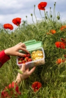 set R&B box a lahev Vlčí máky 700ml