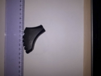 krytky hole HAVEN Nordic Walking pár