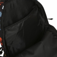 batoh ALPINE PRO BARDO 15L černý