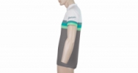 dres krátký pánský SENSOR SUMMER STRIPE šedo/zelený