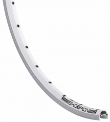 Ráfek RODI Skorpion 559x19 32d. stříbrný