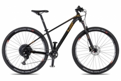 4EVER 2025 DARK SPORT - shiny black / bronze