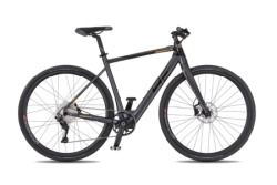 4EVER 2024 ENGRAVE FLAT - titan/metal gold