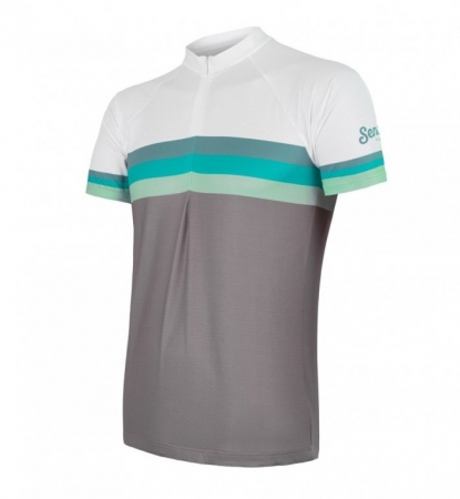 dres krátký pánský SENSOR SUMMER STRIPE šedo/zelený