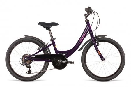 Jízdní kolo Dema AGGY bordo 2021