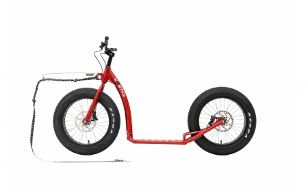 Kostka RAPTOR MAX DOG (G6) Satin Ferrari