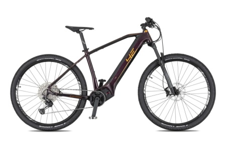 4EVER 2024 EXSTREAM ELITE - dark velvet / bronze